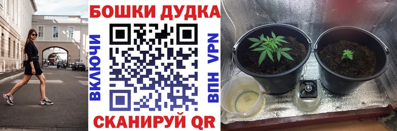 где можно купить   Тарко-Сале  omg tor  МАРИХУАНА THC 21% 